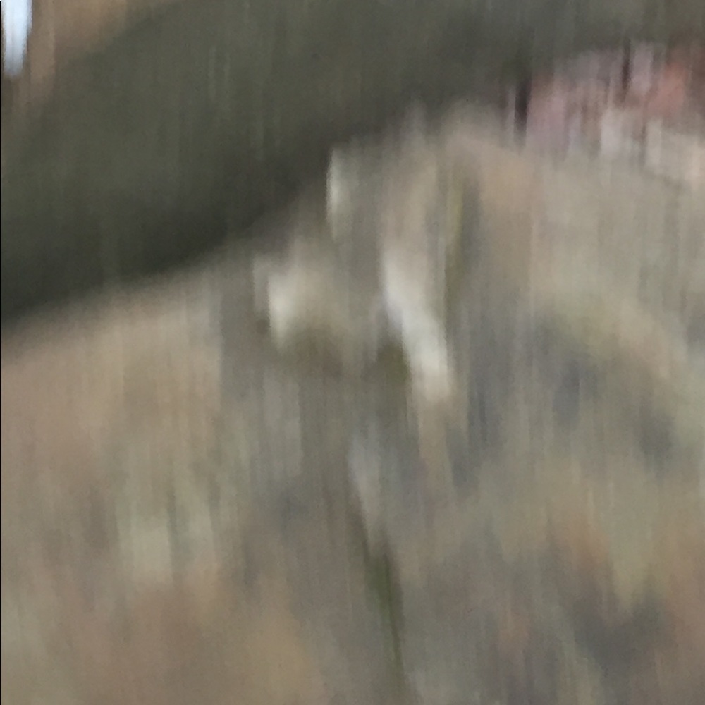 Meet your Posher, Whitney